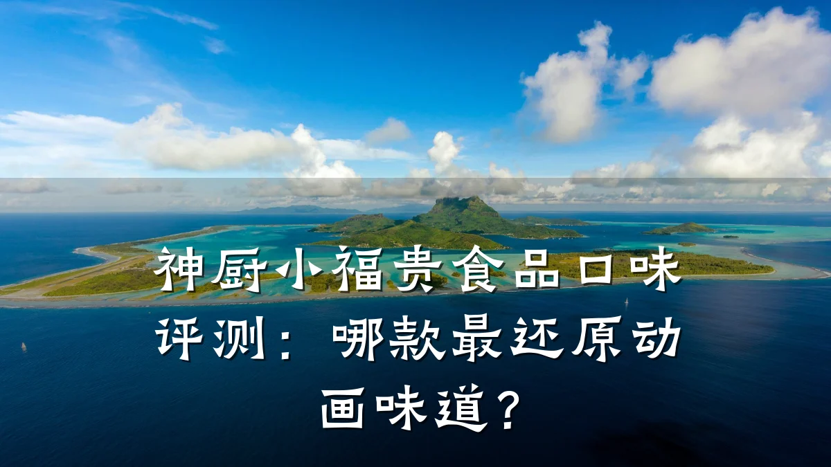 神厨小福贵食品口味评测:哪款最还原动画味道?