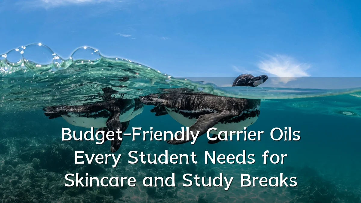 Budget-Friendly Carrier Oils Every Student Needs for Skincare and Study Breaks