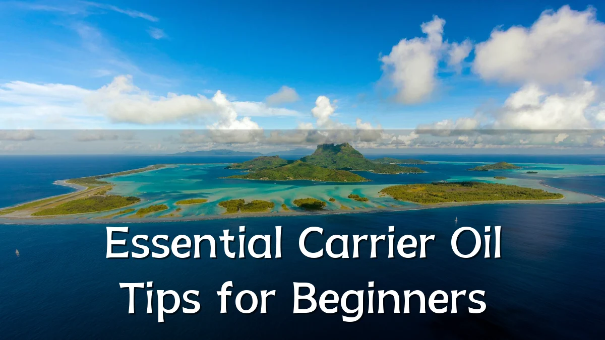 Essential Carrier Oil Tips for Beginners
