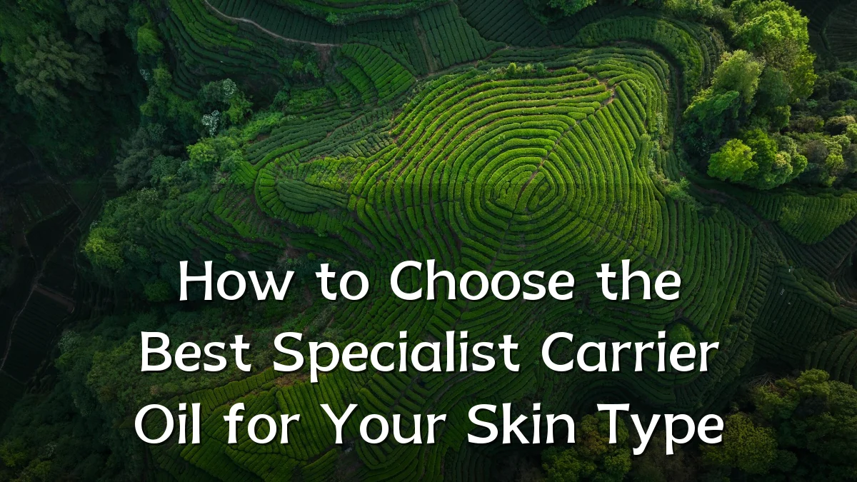 How to Choose the Best Specialist Carrier Oil for Your Skin Type