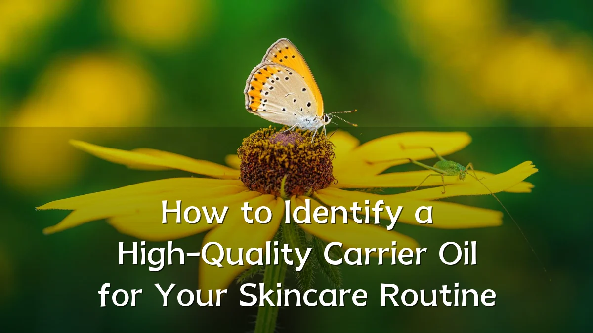 How to Identify a High-Quality Carrier Oil for Your Skincare Routine
