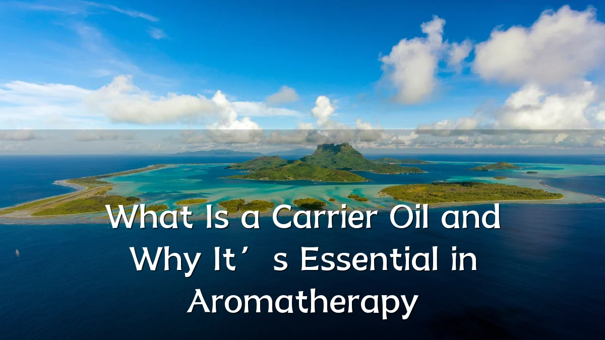 What Is a Carrier Oil and Why It’s Essential in Aromatherapy