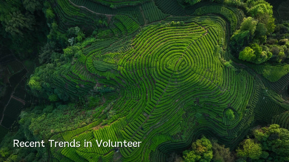 Recent Trends in Volunteer