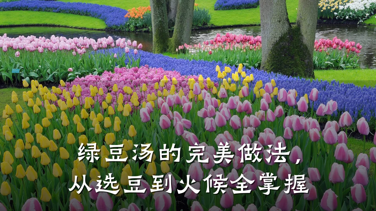 绿豆汤的完美做法，从选豆到火候全掌握
