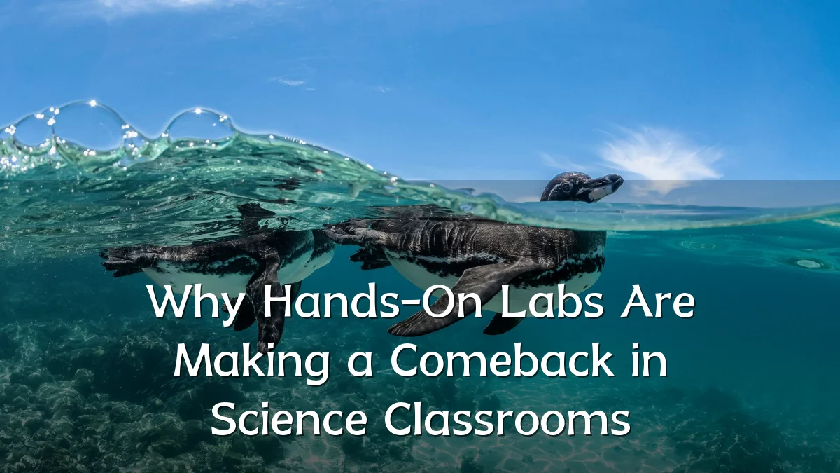 Why Hands-On Labs Are Making a Comeback in Science Classrooms