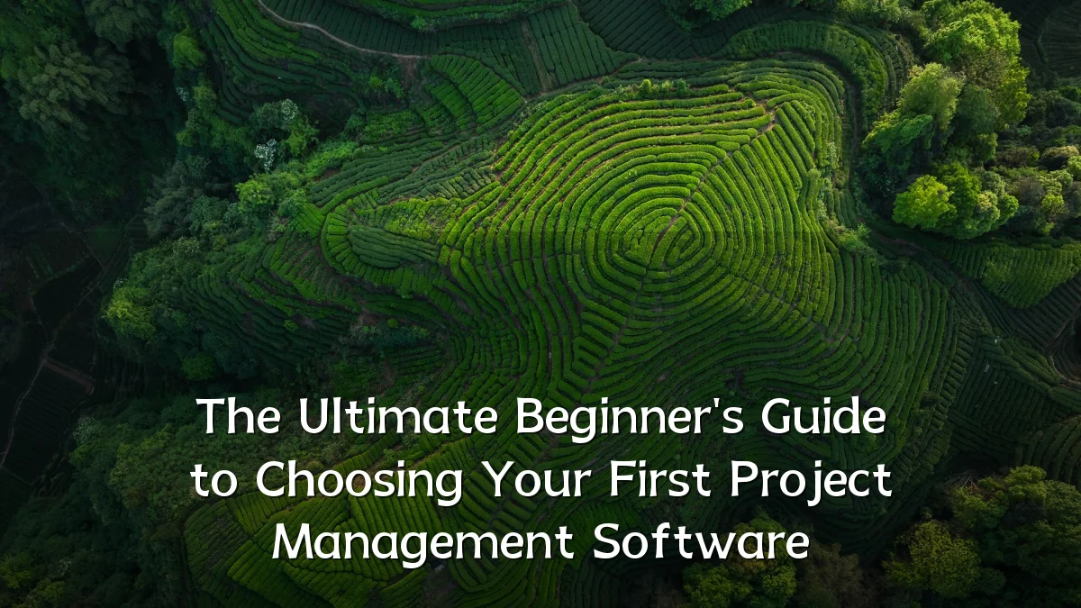 The Ultimate Beginner's Guide to Choosing Your First Project Management Software