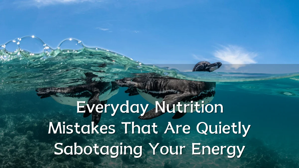 Everyday Nutrition Mistakes That Are Quietly Sabotaging Your Energy