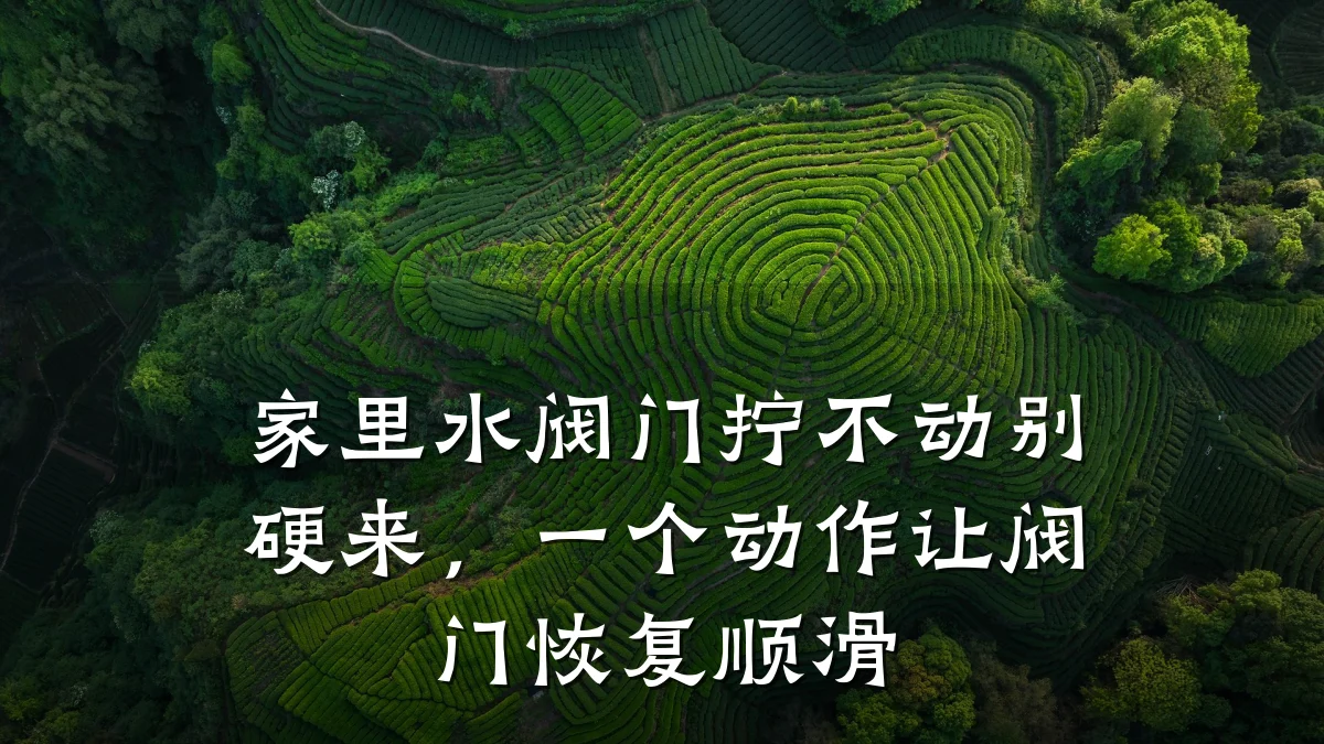 家里水阀门拧不动别硬来,一个动作让阀门恢复顺滑