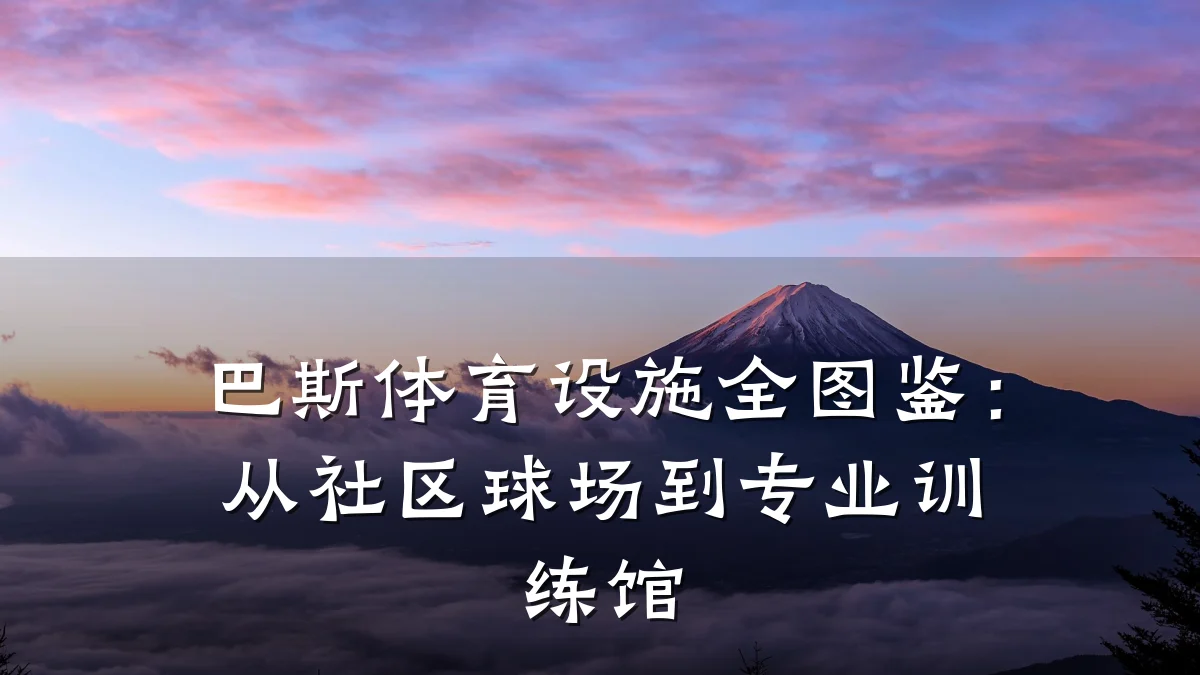 巴斯体育设施全图鉴:从社区球场到专业训练馆