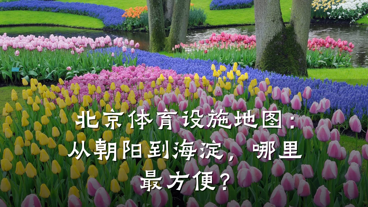 北京体育设施地图:从朝阳到海淀,哪里最方便?