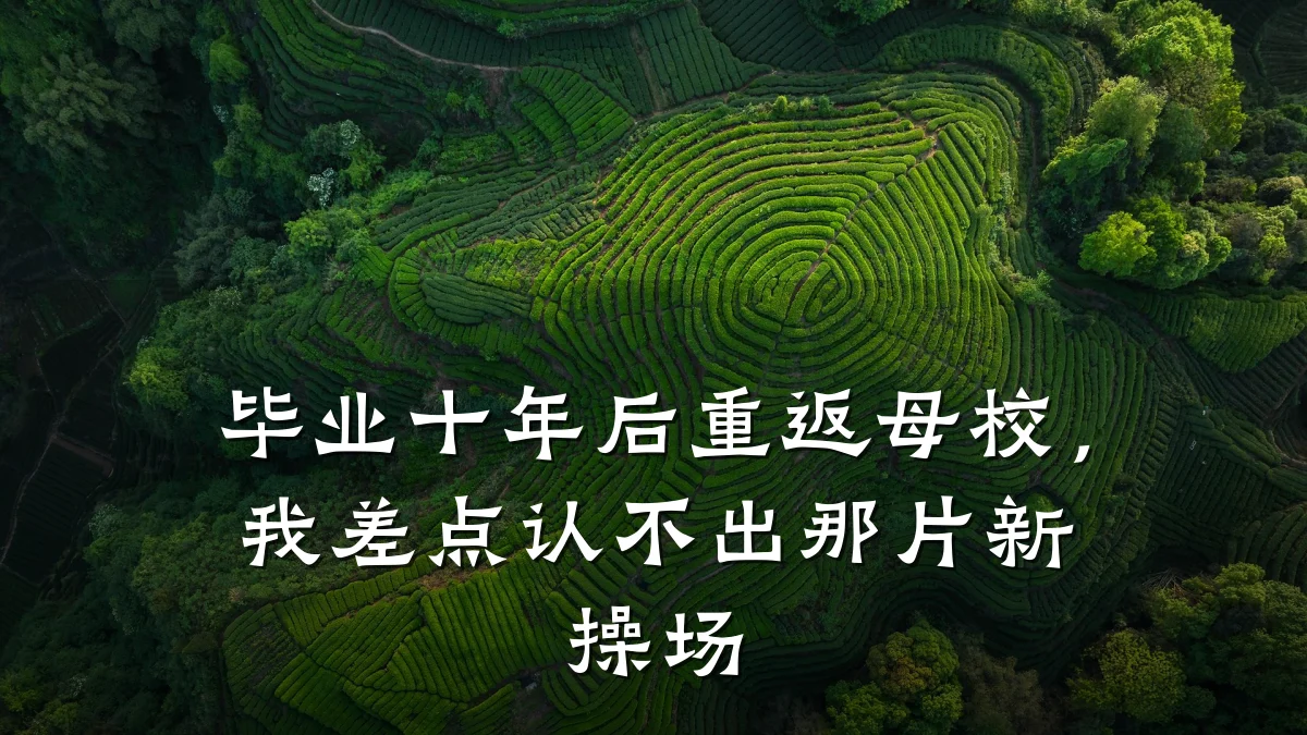 毕业十年后重返母校,我差点认不出那片新操场