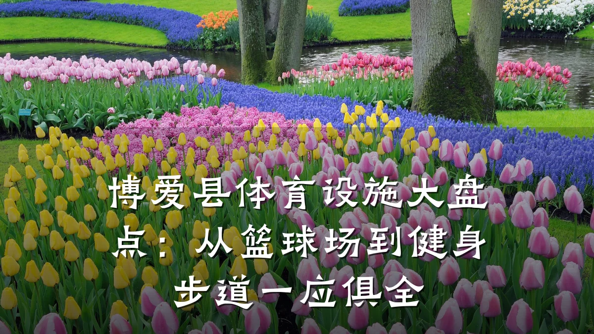 博爱县体育设施大盘点:从篮球场到健身步道一应俱全