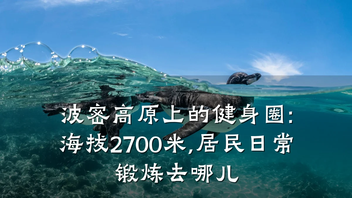 波密高原上的健身圈:海拔2700米,居民日常锻炼去哪儿