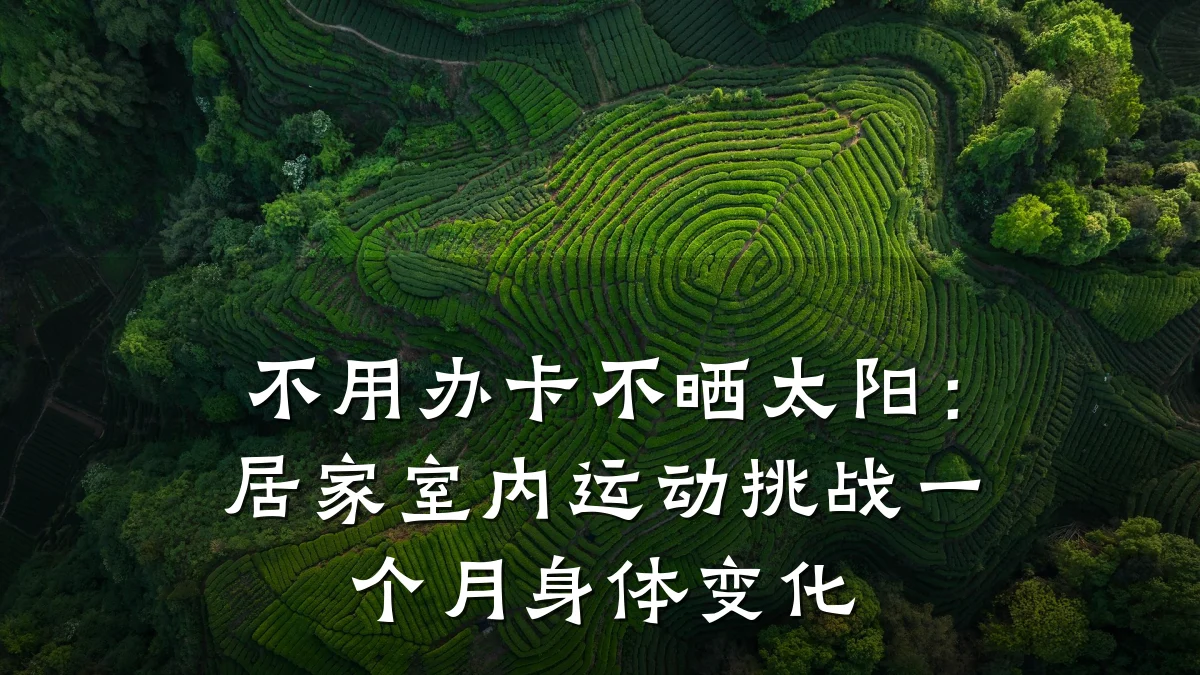不用办卡不晒太阳:居家室内运动挑战一个月身体变化