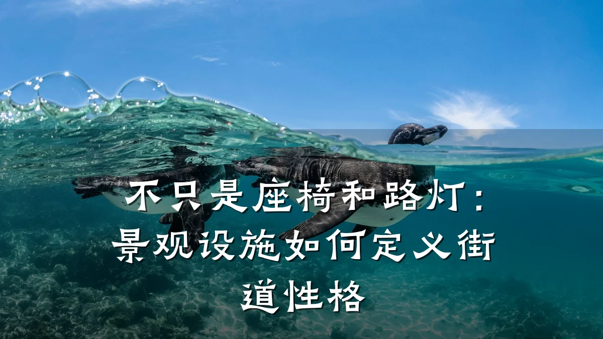 不只是座椅和路灯:景观设施如何定义街道性格