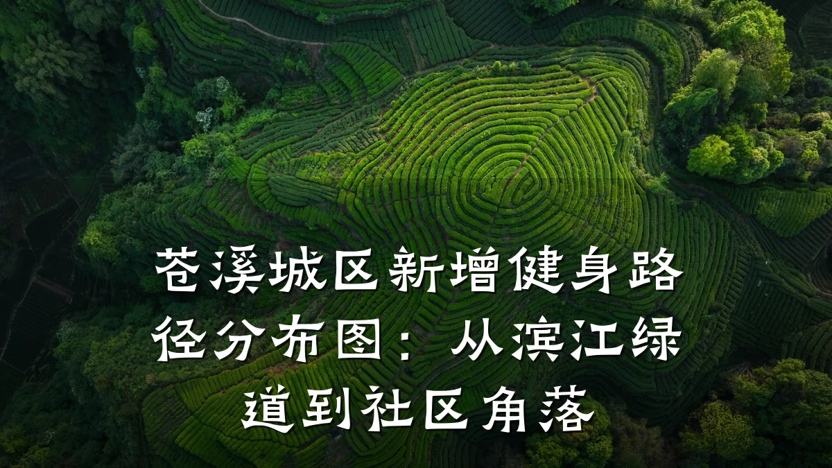 苍溪城区新增健身路径分布图:从滨江绿道到社区角落