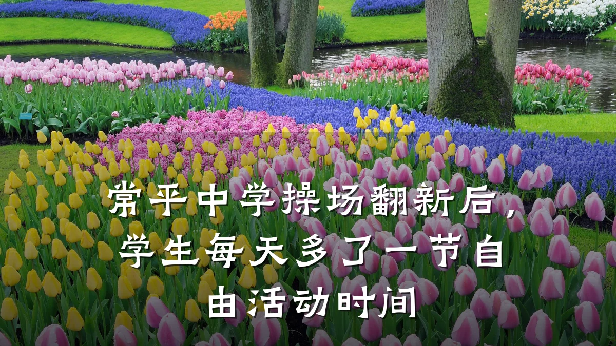 常平中学操场翻新后,学生每天多了一节自由活动时间