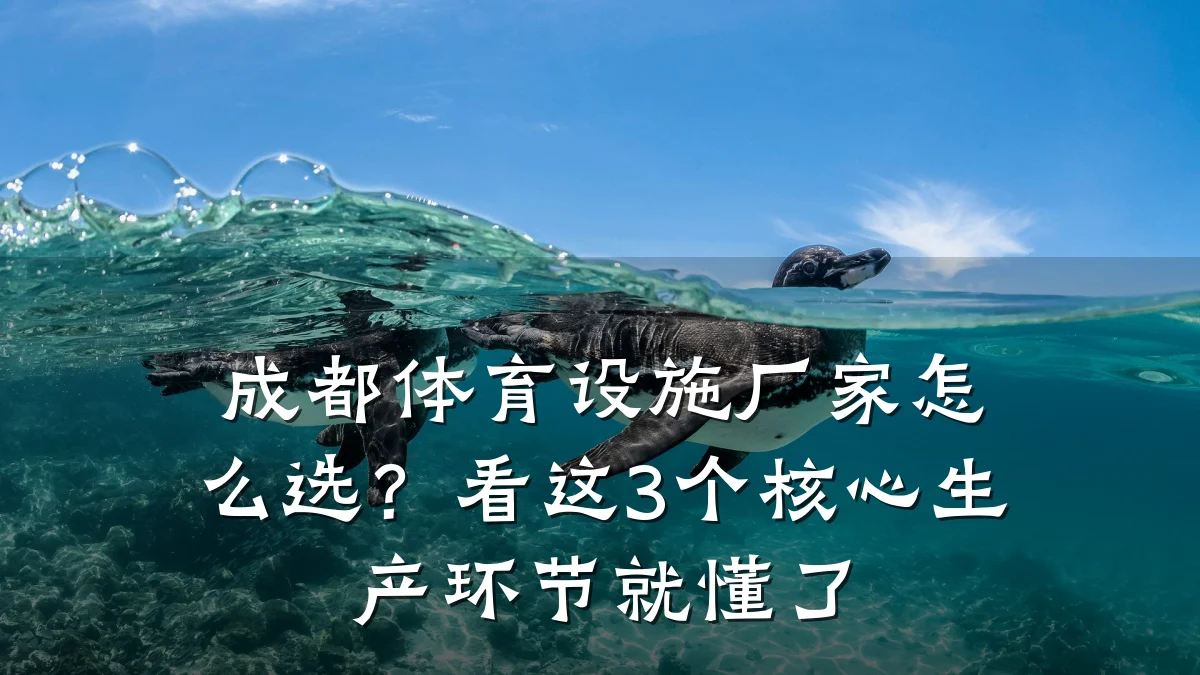 成都体育设施厂家怎么选?看这3个核心生产环节就懂了