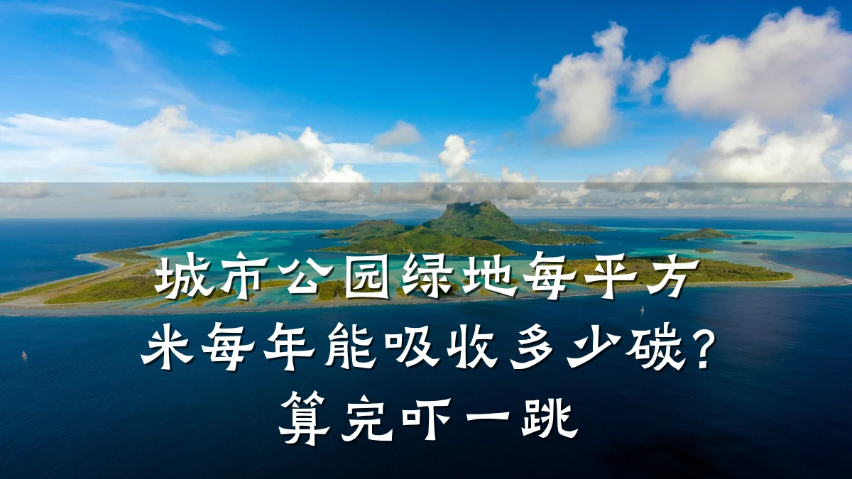 城市公园绿地每平方米每年能吸收多少碳?算完吓一跳