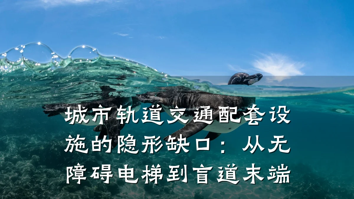 城市轨道交通配套设施的隐形缺口:从无障碍电梯到盲道末端