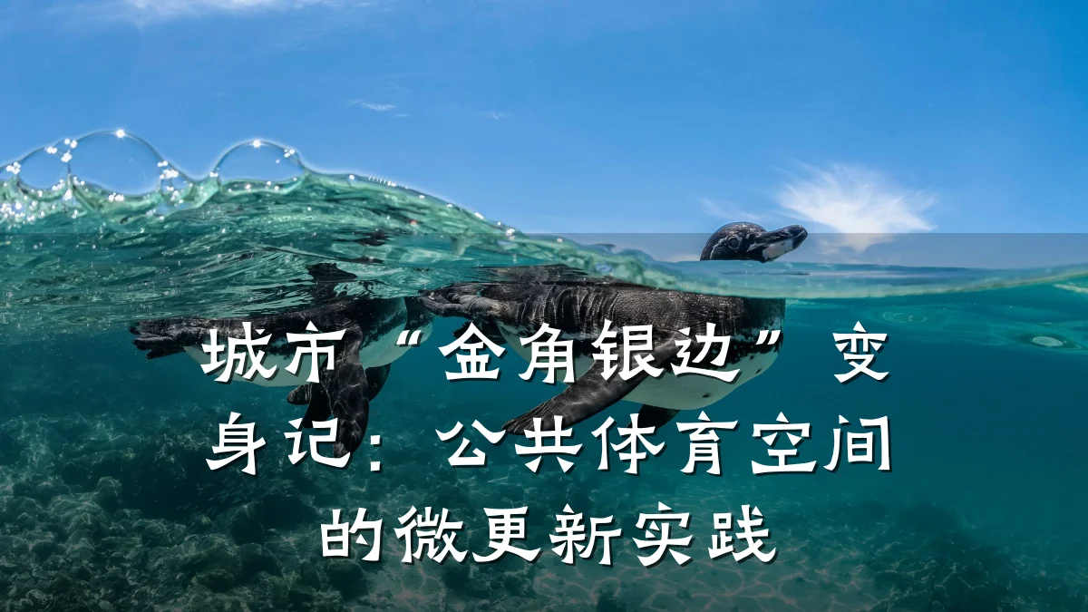 城市“金角银边”变身记：公共体育空间的微更新实践