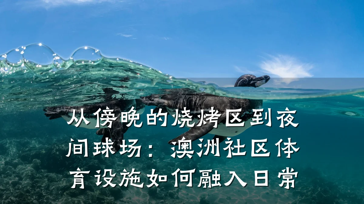 从傍晚的烧烤区到夜间球场:澳洲社区体育设施如何融入日常