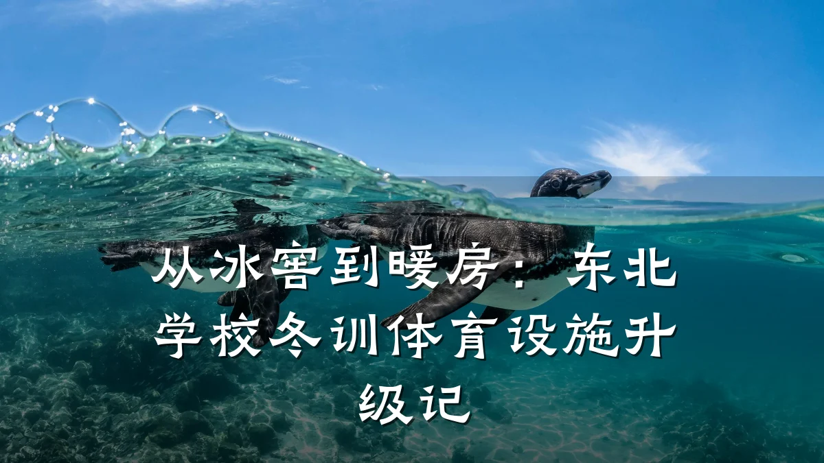 从冰窖到暖房:东北学校冬训体育设施升级记
