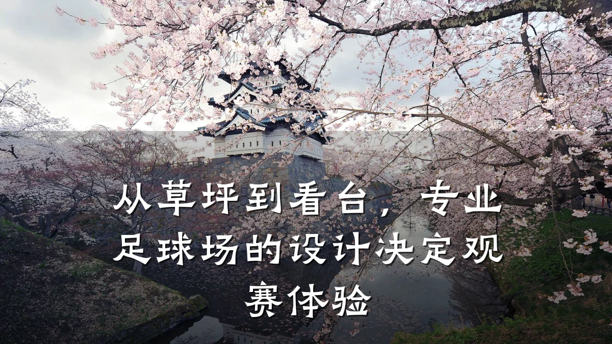 从草坪到看台,专业足球场的设计决定观赛体验