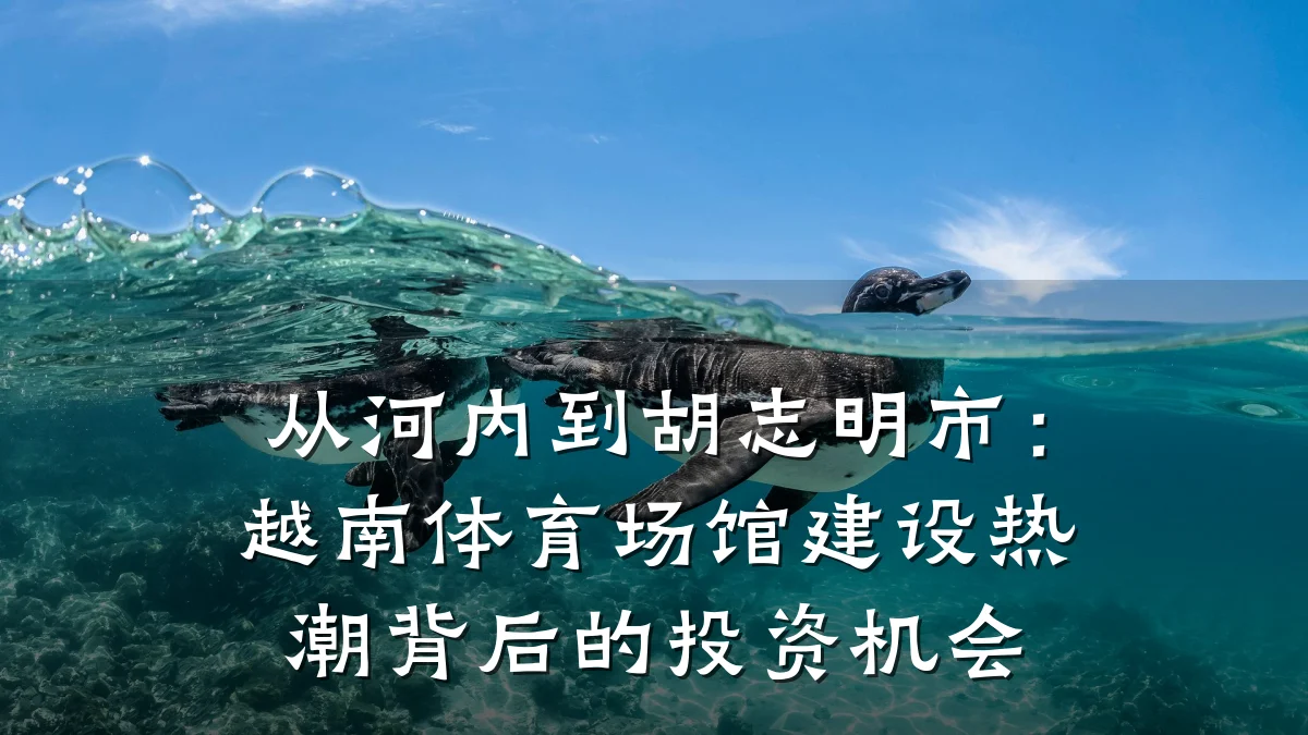 从河内到胡志明市:越南体育场馆建设热潮背后的投资机会