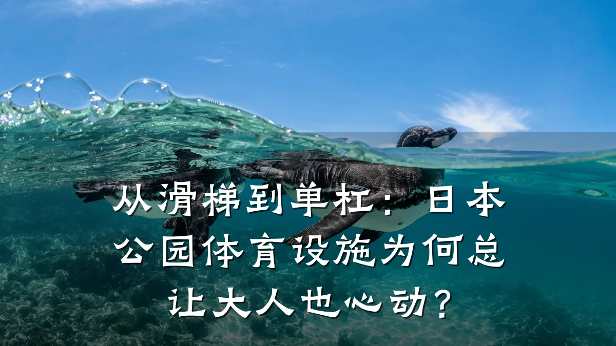 从滑梯到单杠:日本公园体育设施为何总让大人也心动?
