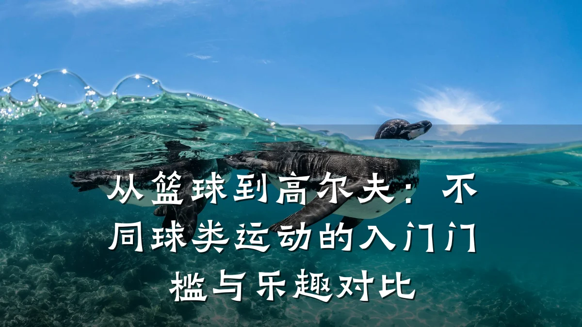 从篮球到高尔夫:不同球类运动的入门门槛与乐趣对比