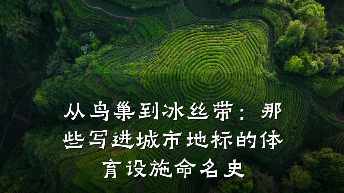 从鸟巢到冰丝带:那些写进城市地标的体育设施命名史