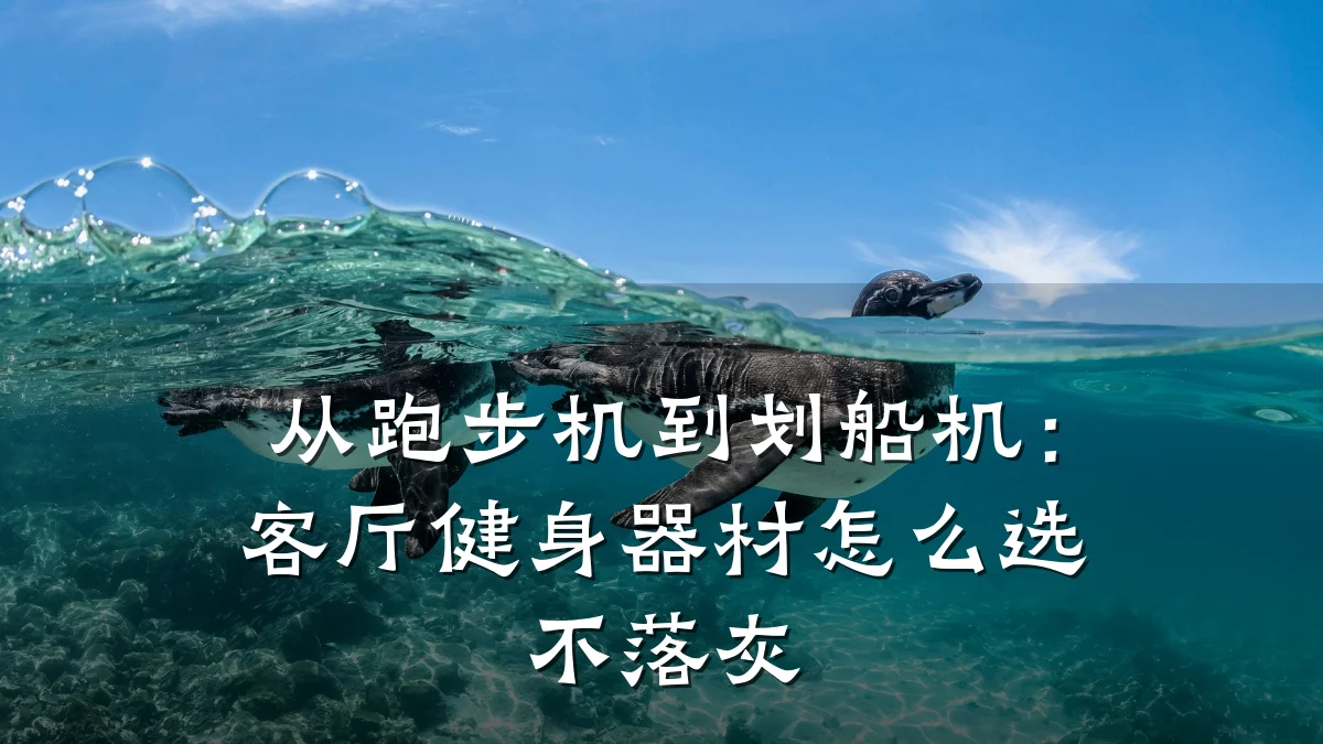从跑步机到划船机:客厅健身器材怎么选不落灰