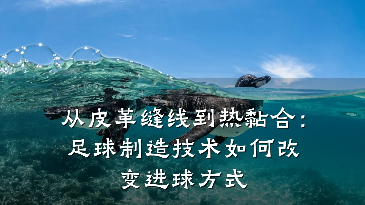从皮革缝线到热黏合:足球制造技术如何改变进球方式