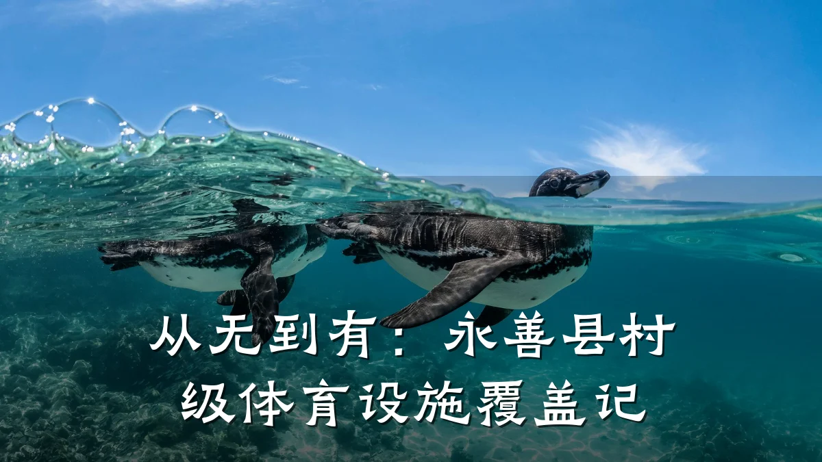 从无到有:永善县村级体育设施覆盖记