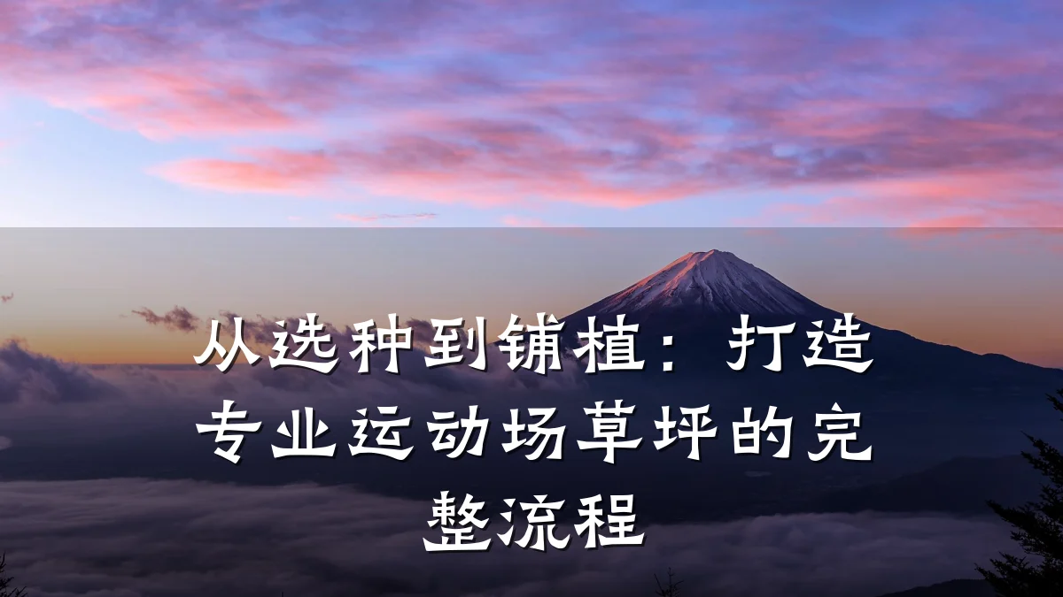 从选种到铺植:打造专业运动场草坪的完整流程