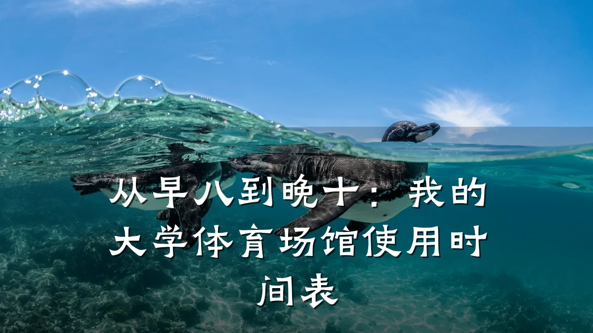 从早八到晚十:我的大学体育场馆使用时间表