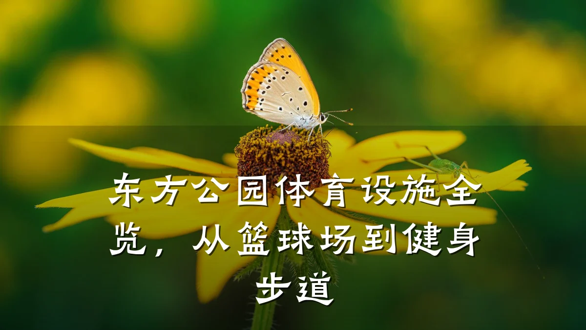 东方公园体育设施全览,从篮球场到健身步道
