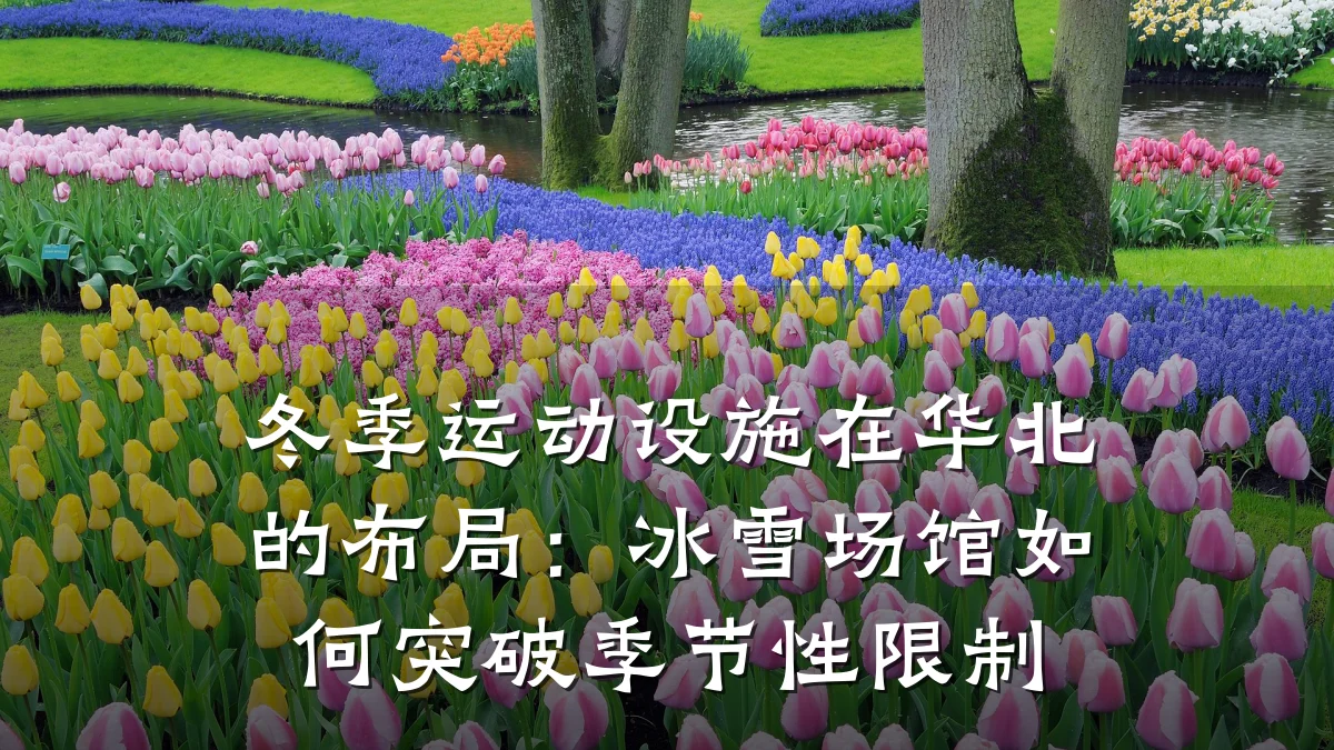 冬季运动设施在华北的布局:冰雪场馆如何突破季节性限制