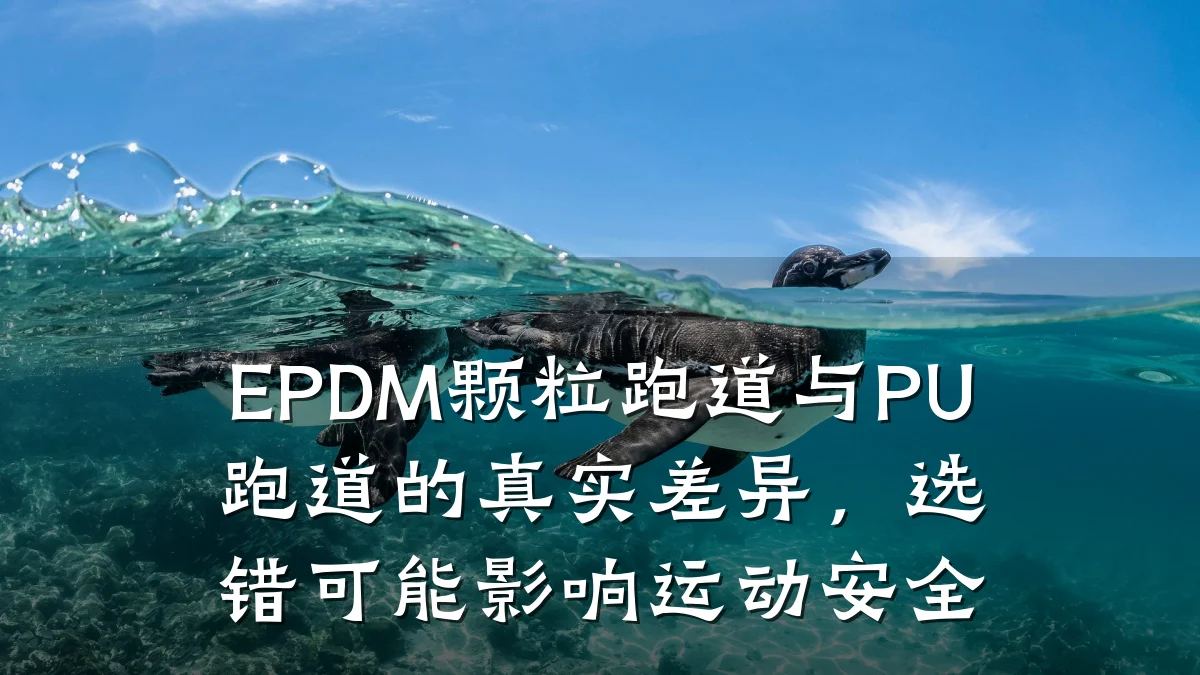 EPDM颗粒跑道与PU跑道的真实差异,选错可能影响运动安全