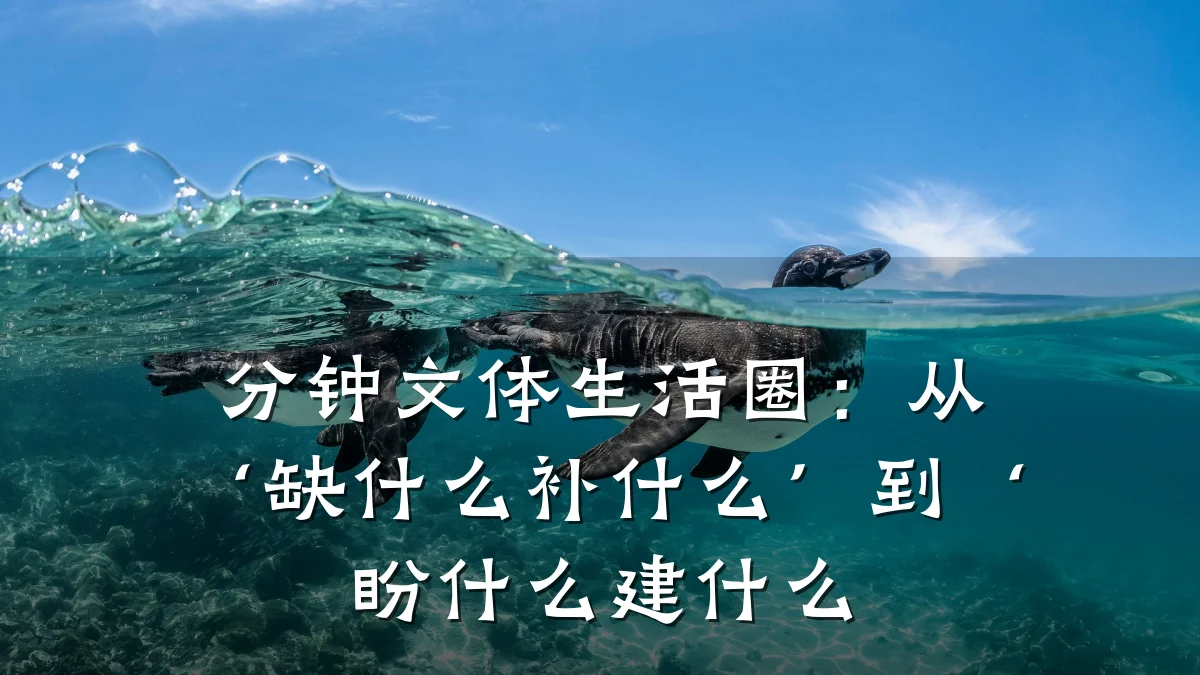 分钟文体生活圈：从‘缺什么补什么’到‘盼什么建什么