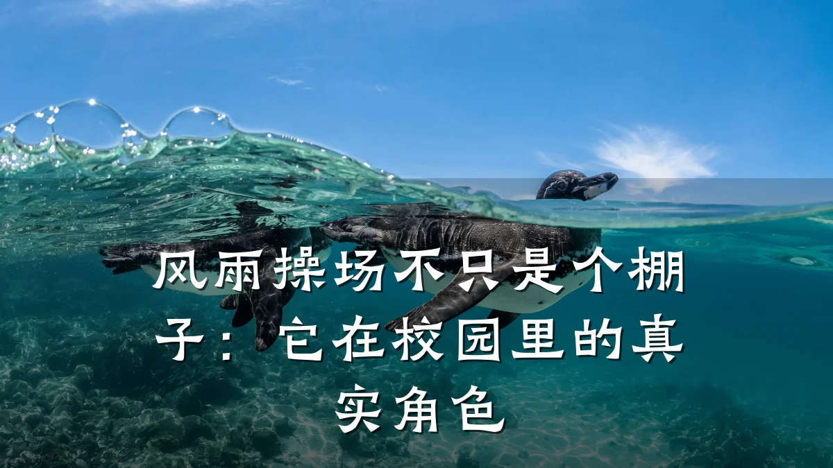 风雨操场不只是个棚子:它在校园里的真实角色