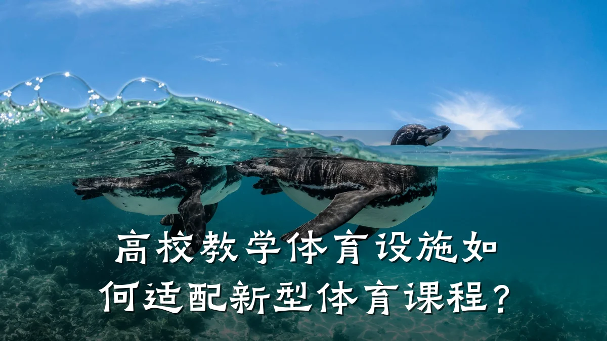 高校教学体育设施如何适配新型体育课程?