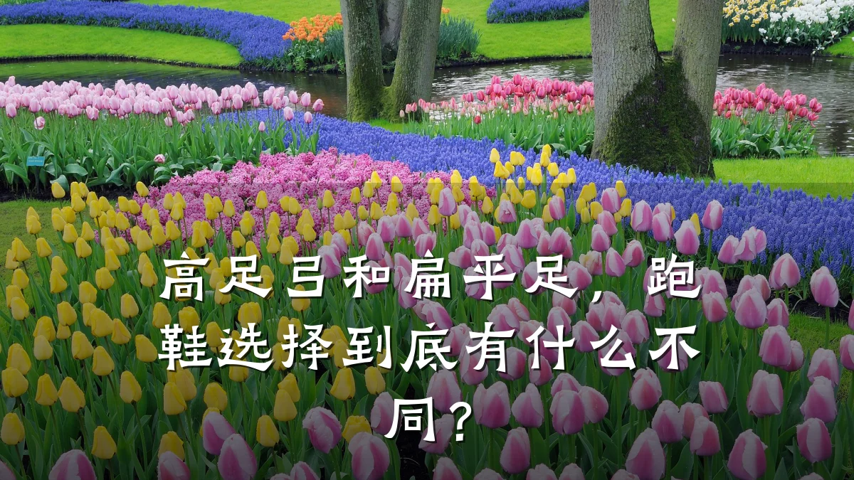 高足弓和扁平足,跑鞋选择到底有什么不同?