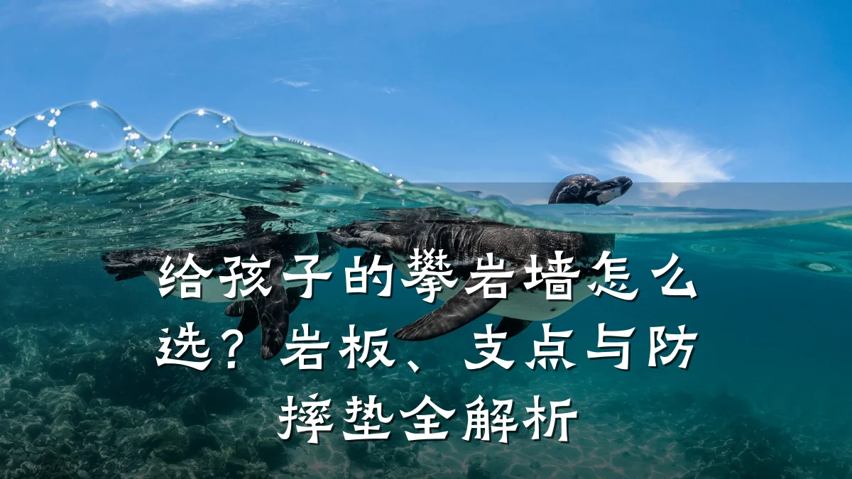 给孩子的攀岩墙怎么选?岩板、支点与防摔垫全解析