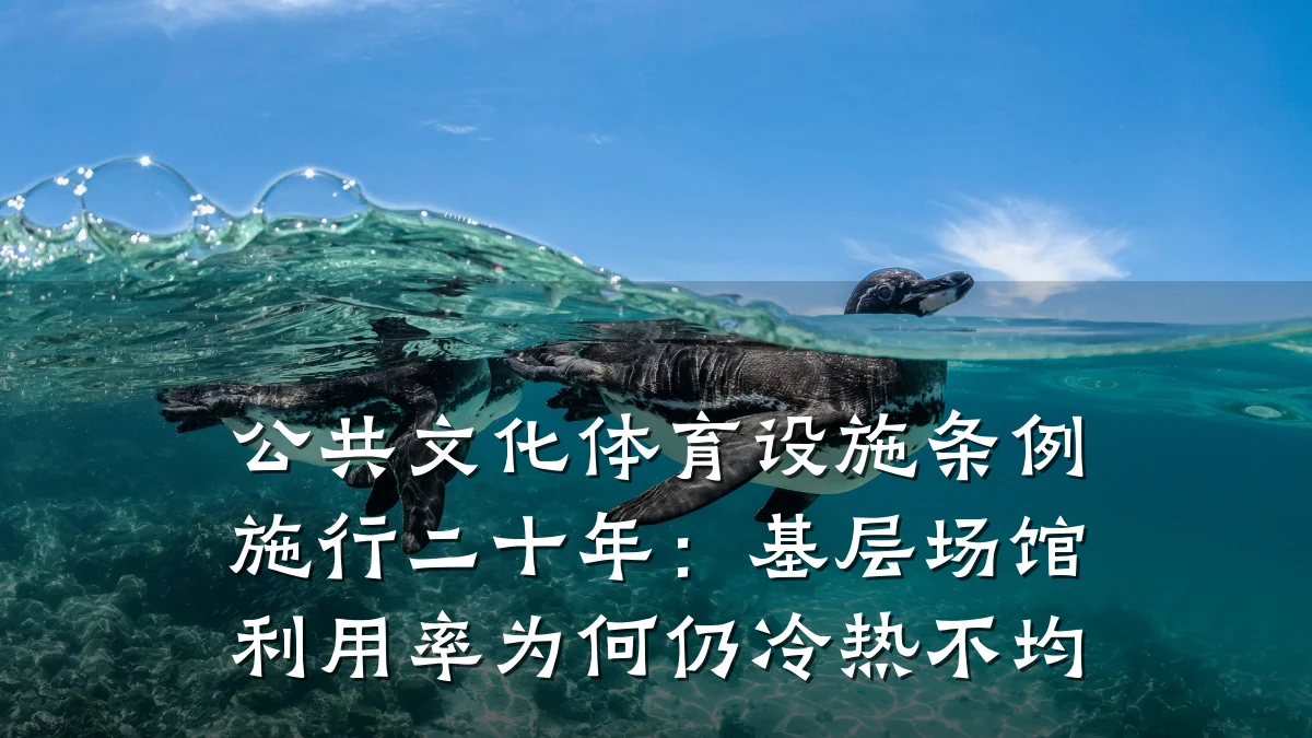 公共文化体育设施条例施行二十年:基层场馆利用率为何仍冷热不均