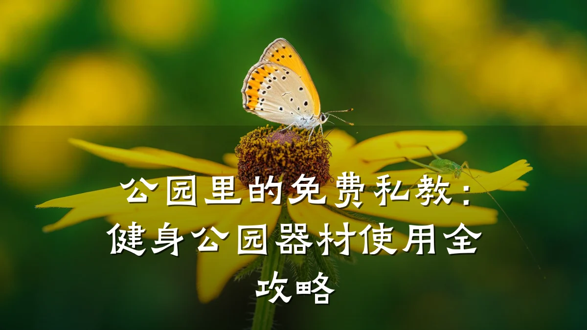 公园里的免费私教:健身公园器材使用全攻略