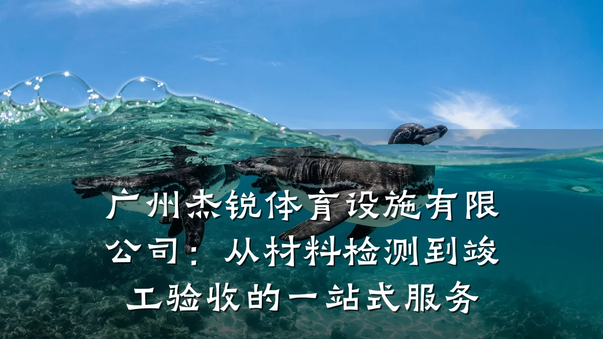 广州杰锐体育设施有限公司:从材料检测到竣工验收的一站式服务