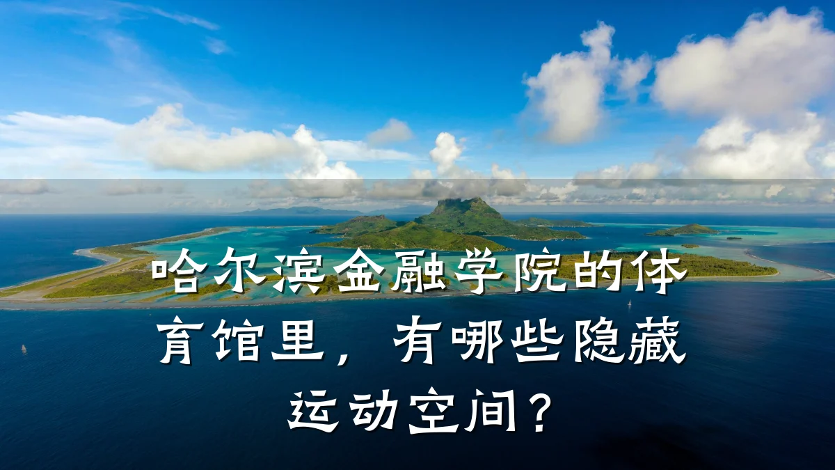 哈尔滨金融学院的体育馆里，有哪些隐藏运动空间？