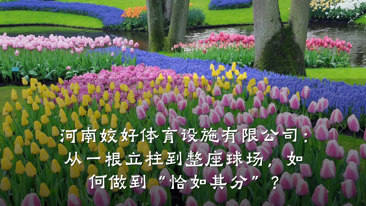 河南姣好体育设施有限公司:从一根立柱到整座球场,如何做到“恰如其分”?